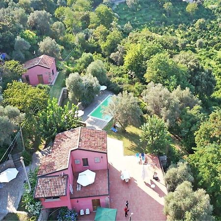 Agricontura Vendégház Capri Leone Szoba fotó