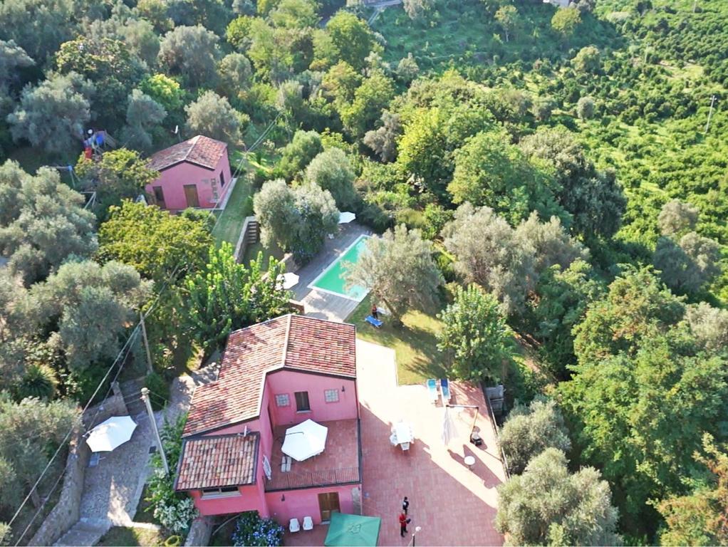 Agricontura Vendégház Capri Leone Szoba fotó