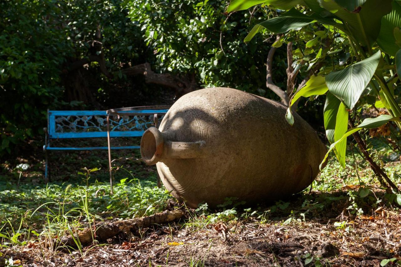 Agricontura Vendégház Capri Leone Kültér fotó
