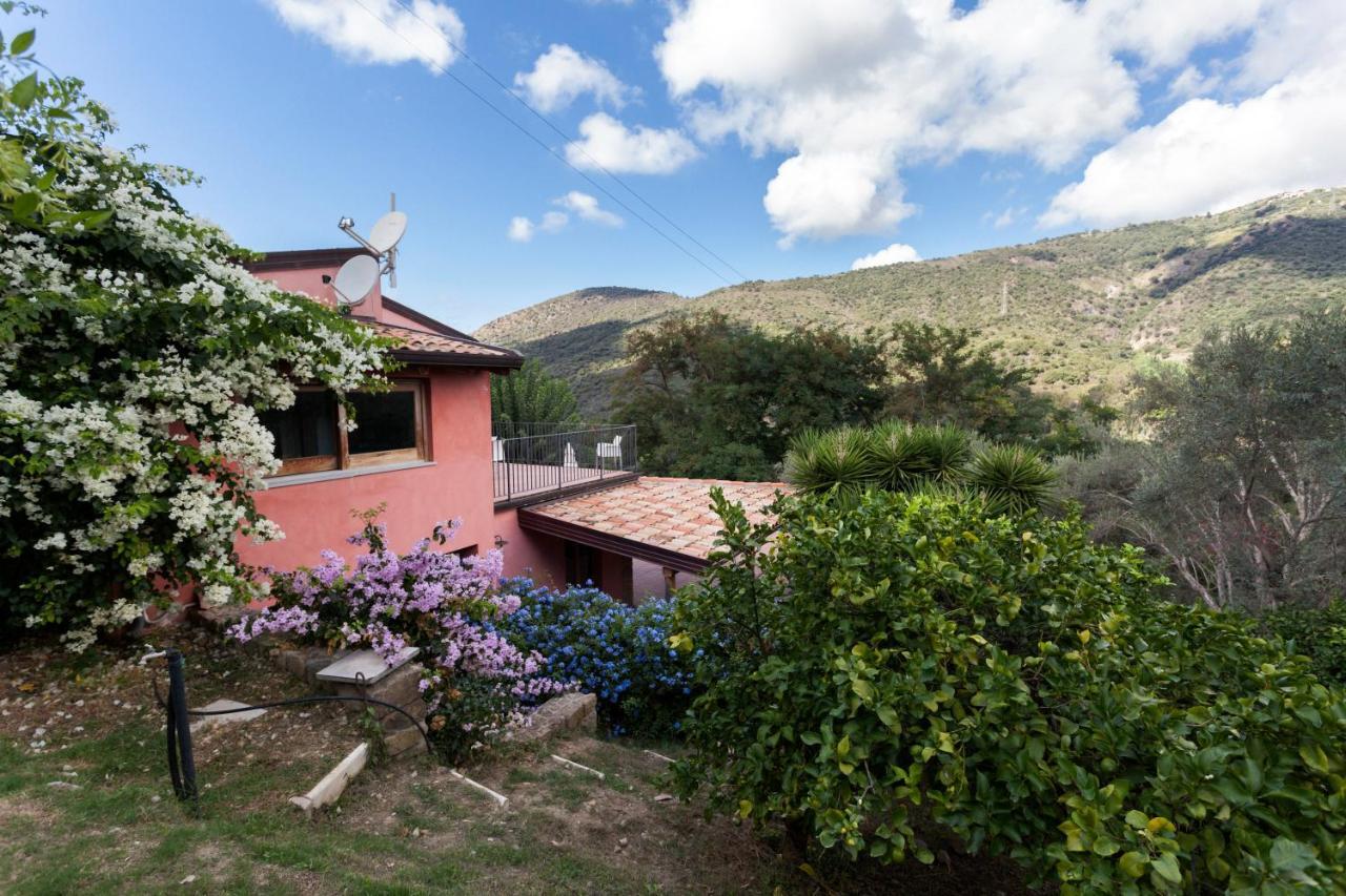 Agricontura Vendégház Capri Leone Kültér fotó