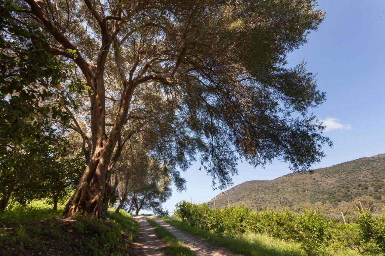 Agricontura Vendégház Capri Leone Kültér fotó